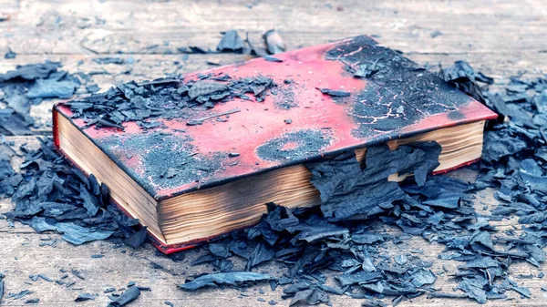 Закрытая Сожжённая Книга Среди Пепла Обуглённых Страниц Книг — стоковое фото