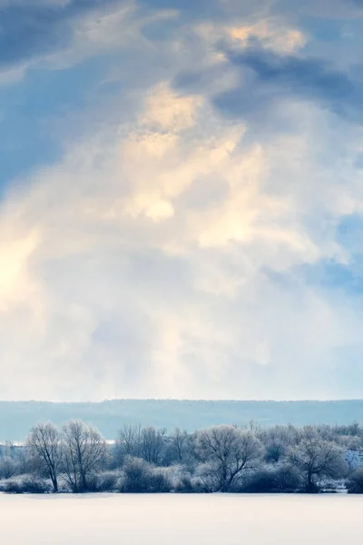 Paisagem Inverno Com Árvores Borda Campo Céu Alto Com Nuvens — Fotografia de Stock