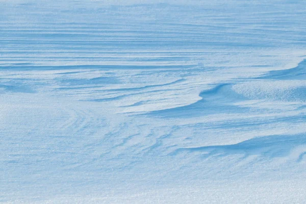 Snowy Background Snow Covered Surface Earth Blizzard Morning Sunlight Distinct — Fotografia de Stock