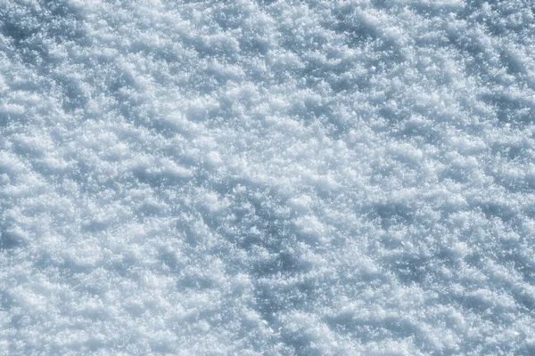 Texture of snow in sunny weather. Snow cover with snow crystals