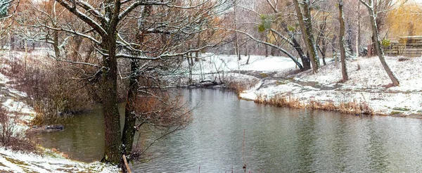 Zimowy Krajobraz Pokrytymi Śniegiem Drzewami Krzewami Brzegu Rzeki Lub Jeziora — Zdjęcie stockowe
