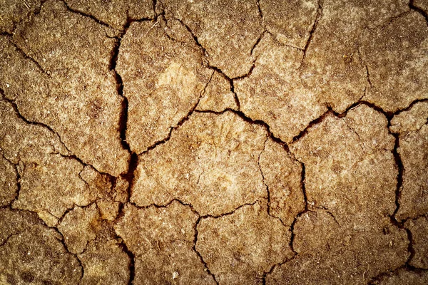 Povrch Půdy Pokryt Trhlinami Během Sucha — Stock fotografie