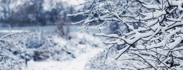Paisagem Inverno Com Galhos Árvores Cobertas Neve Perto Rio Após — Fotografia de Stock