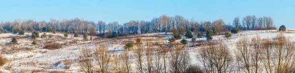 Zimní Panorama Zasněženým Polem Lesem Dálce — Stock fotografie