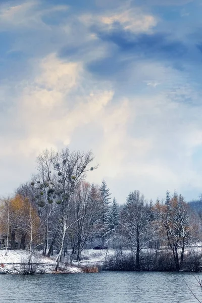 Paisagem Inverno Com Árvores Cobertas Neve Arbustos Margem Rio Lago — Fotografia de Stock