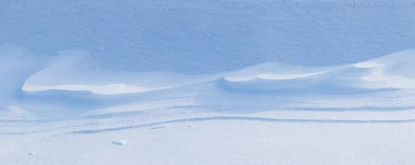 Snowy Background Snow Covered Surface Earth Blizzard Morning Sunlight Distinct — Fotografia de Stock