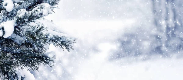 Снегопад Лесу Зимний Лес Снежной Еловой Ветвью Размытом Фоне Время — стоковое фото