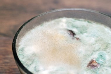 Cam tabakta reçel kalıbı. Tabaktaki küflü yemek.