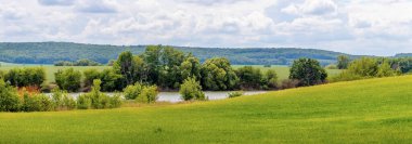 Summer landscape with a green field, trees near the river, a forest in the distance and a picturesque sky. Green grass in the field
