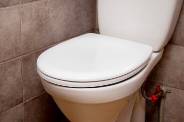 A clean lavatory pan with a closed lid iin the toilet