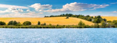 Rural landscape with a yellow wheat field near the river and a picturesque cloudy sky