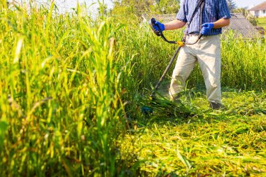 A worker mows tall grass with an electric trimmer