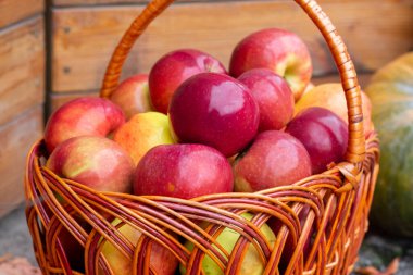 Basket with red ripe apples. Apple harvest