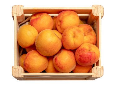 Ripe delicious apricots in a wooden box on a white blur background