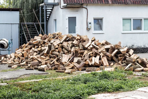 stock image A pile of firewood for heating in winter in the yard of the farm