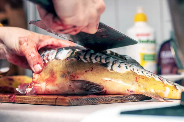 Woman Cuts Fish Large Knife Home Kitchen — Foto Stock