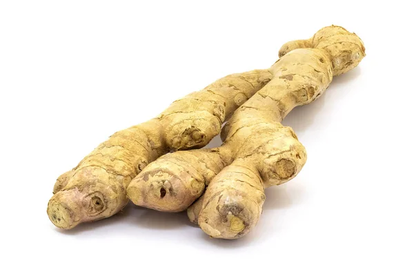 Ginger Root White Isolated Background Full Depth Clarity — Zdjęcie stockowe