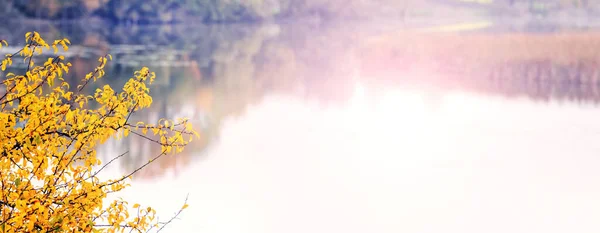 Jesienny Widok Żółtym Drzewem Nad Rzeką Odbicie Drzew Wodzie Słoneczny — Zdjęcie stockowe
