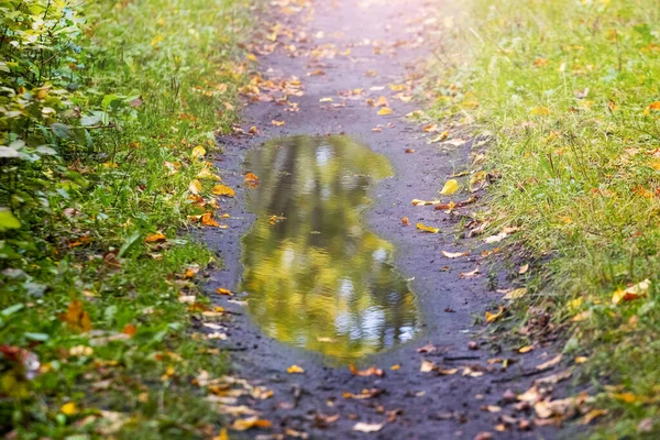 A puddle on a dirt road in an autumn forest, the reflection of trees in the water of the puddle
