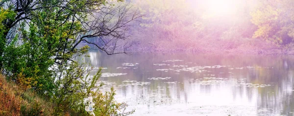 stock image Autumn landscape with a tree by the river on a sunny day