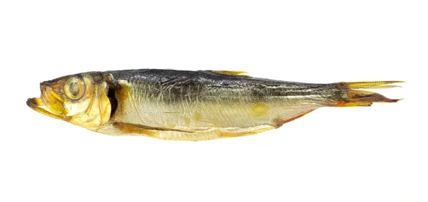 Νόστιμα Καπνιστά Ψάρια Λευκό Απομονωμένο Φόντο — Φωτογραφία Αρχείου