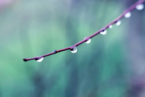 빗방울 물레방아 — 스톡 사진