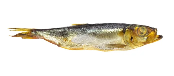 Вкусная Копченая Рыба Белом Изолированном Фоне — стоковое фото