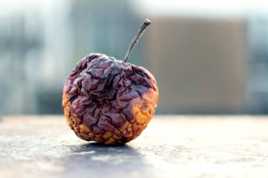 Bulanık bir arkaplanda çürük buruşuk bir elma.