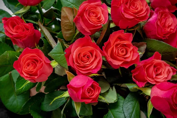 Rosas Vermelhas Buquê Rosas Vermelhas Para Parabenizar Pelo Feriado — Fotografia de Stock