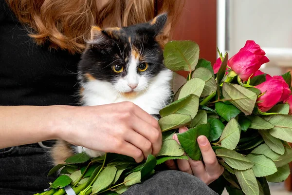 Uma Menina Segurando Gato Fofo Bonito Buquê Rosas — Fotografia de Stock