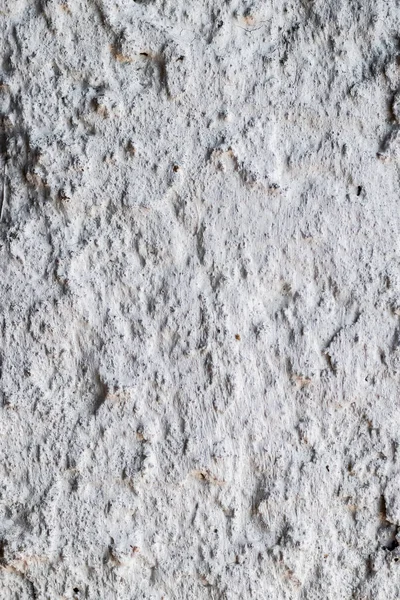 石灰白色の漆喰壁の質感 コピースペース — ストック写真