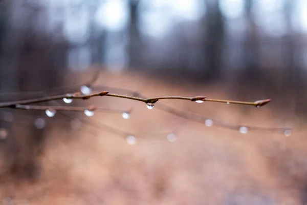 빗방울 물레방아 — 스톡 사진