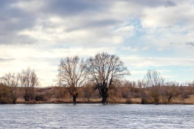 Nehir ve ağaçlarla dolu sonbahar manzarası bulutlu havada
