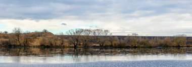 Sonbaharın sonlarında kasvetli bir sonbaharda nehir kıyısında çıplak ağaçlar ve çalılarla dolu sonbahar manzarası.