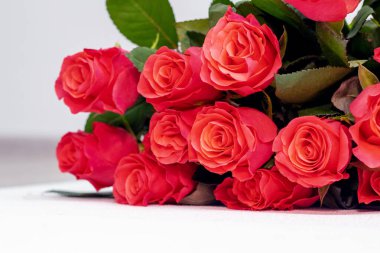 Kırmızı güller. Tatilde kutlama için bir buket kırmızı gül.