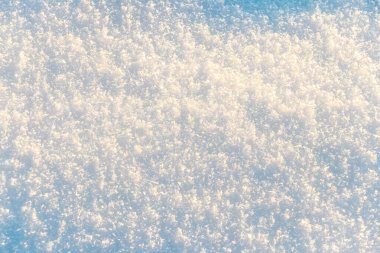 Texture of snow in sunny weather. Snow cover with snow crystals