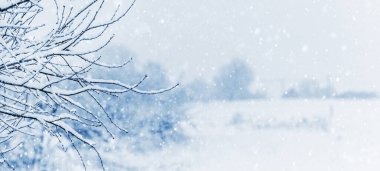 Kar yağarken bir tarlanın arka planında karlı bir ağaç dalı olan kış manzarası