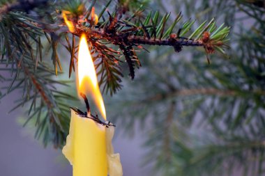 Noel ağacının bir dalı, güvenlik kurallarına uymadığı için yanan bir mumla alev aldı.