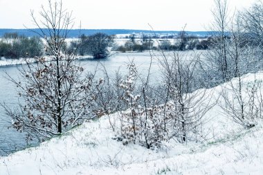 Nehir kıyısında karla kaplı ağaçlarla kaplı kış manzarası, panorama