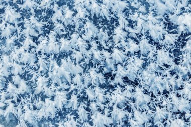Big fluffy snowflakes on the surface of the ice. Winter and Christmas background
