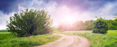 Baharda, yeşil çimlerin ve ağaçların olduğu bir arazide, güneşli bir havada, toprak bir yol.