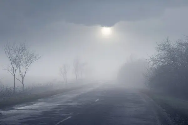 Spring landscape, the sun peeks through the thick fog and illuminates the trees by the road