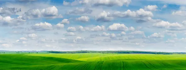Green field in sunny weather and picturesque blue sky with white clouds