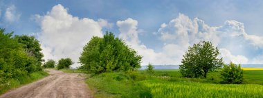 Kırsal alan, tarlada toprak yol, yeşil çimenler ve beyaz kıvrımlı bulutlarla mavi gökyüzü. 