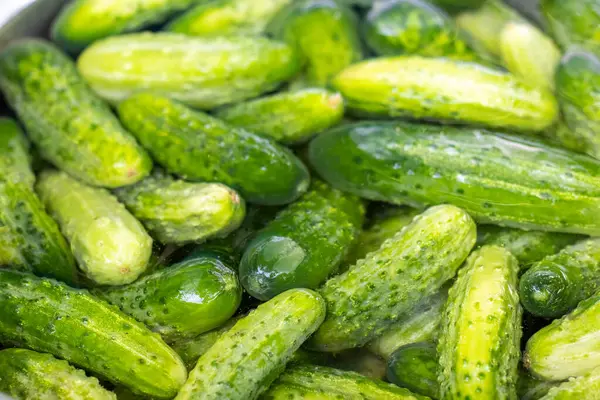 Suda yeşil sulu salatalıklar