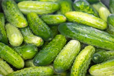 Suda yeşil sulu salatalıklar