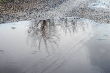 Yağmurdan dalgalanan su birikintisi ve sonbaharda ağaçların yansıması, yağmurlu hava