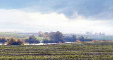 Sonbahar manzarası, bulutlu bir gökyüzü olan bir nehrin yakınındaki bir tarlada buğday mahsulleriyle dolu.