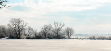 Nehrin kıyısındaki çıplak ağaçlar güneşli havada buz ve karla kaplı.