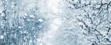 Atmosferik kış manzarası, kar yağarken ormandaki karla kaplı bitkiler, kar her şeyi kaplıyor.